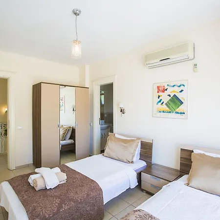 Kaplan * Kalkan