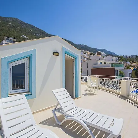 Kaplan Kalkan